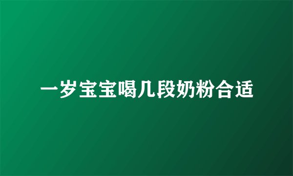 一岁宝宝喝几段奶粉合适