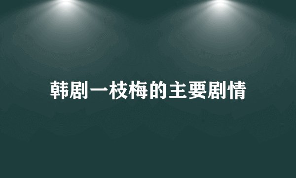 韩剧一枝梅的主要剧情