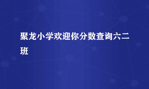 聚龙小学欢迎你分数查询六二班
