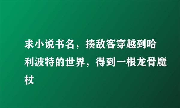 求小说书名，揍敌客穿越到哈利波特的世界，得到一根龙骨魔杖