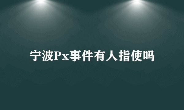 宁波Px事件有人指使吗