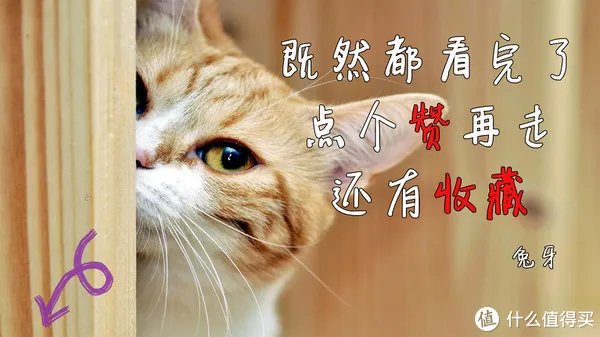 试着捡了一次“垃圾”,Thinkpad拓展坞让我的小黑变身台面主机