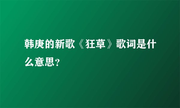 韩庚的新歌《狂草》歌词是什么意思？