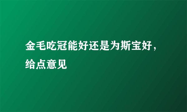 金毛吃冠能好还是为斯宝好，给点意见