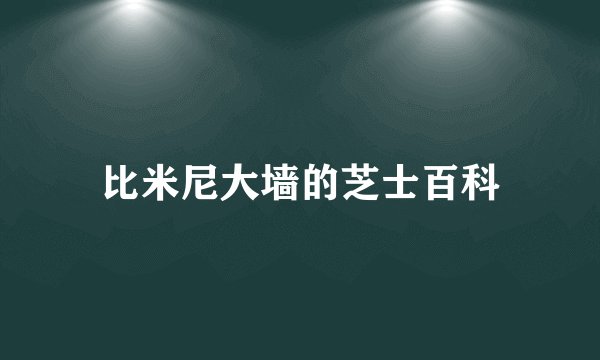 比米尼大墙的芝士百科