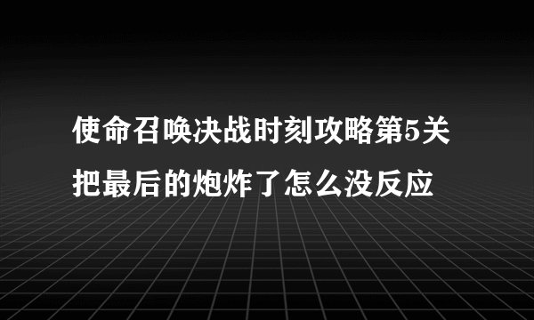 使命召唤决战时刻攻略第5关把最后的炮炸了怎么没反应