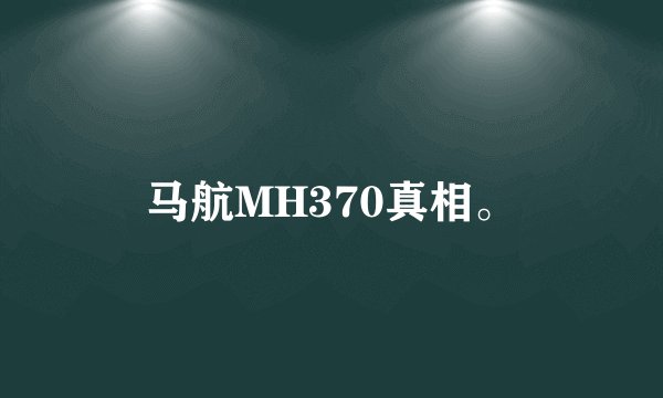 马航MH370真相。