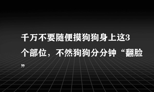 千万不要随便摸狗狗身上这3个部位,不然狗狗分分钟“翻脸”