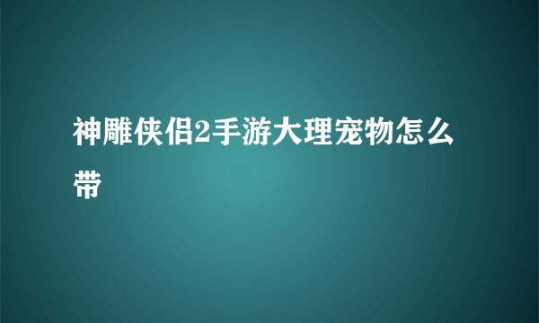 神雕侠侣2手游大理宠物怎么带