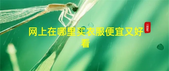 网上在哪里买衣服便宜又好看