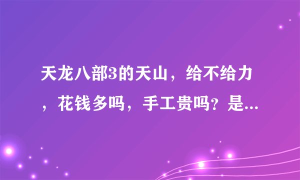 天龙八部3的天山，给不给力，花钱多吗，手工贵吗？是不适合没钱玩家