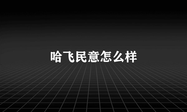 哈飞民意怎么样