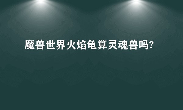 魔兽世界火焰龟算灵魂兽吗?