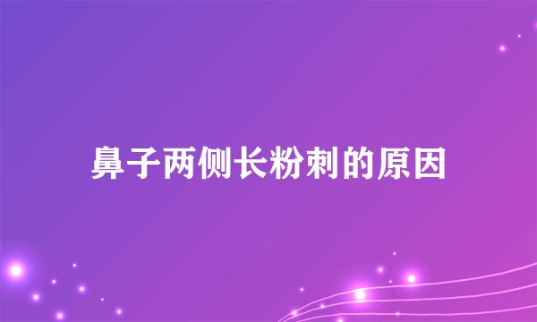 鼻子两侧长粉刺的原因