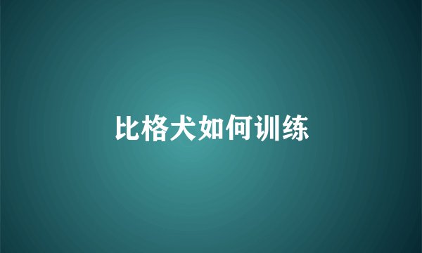比格犬如何训练