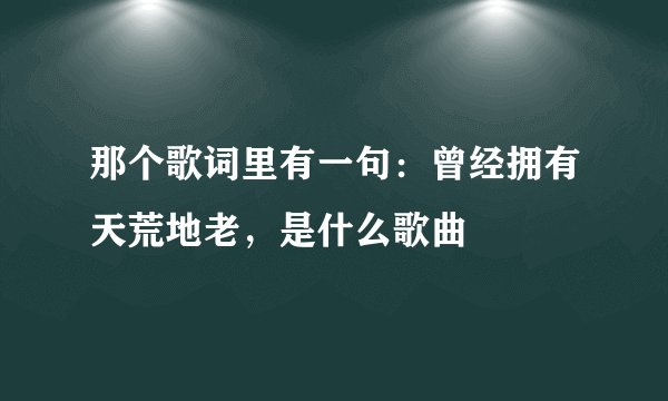 那个歌词里有一句：曾经拥有天荒地老，是什么歌曲