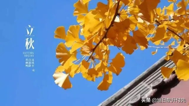 农村立秋当天忌讳