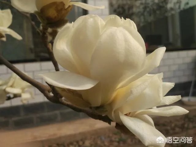 农村租地一亩地租金600,农民觉得划算吗?愿意租吗?