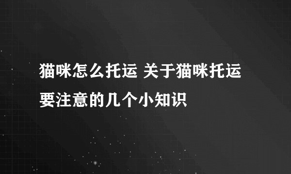 猫咪怎么托运 关于猫咪托运要注意的几个小知识