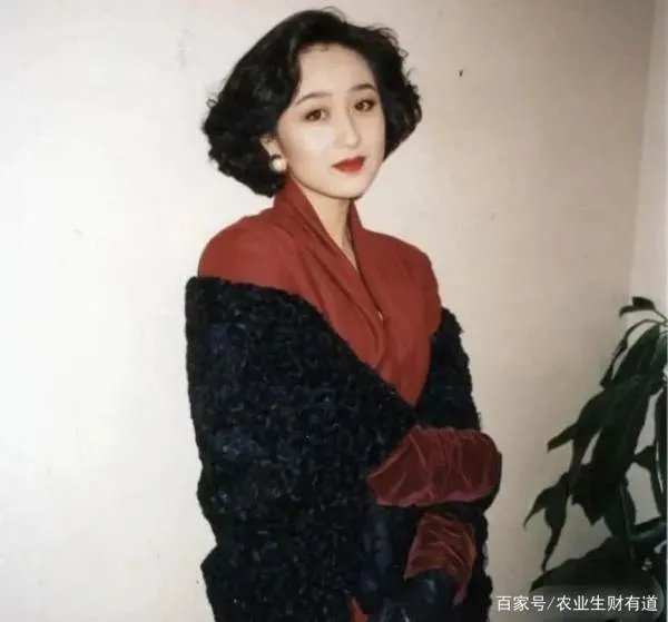 利智为何不做赌王五太?“吊”了李连杰10年才肯嫁,背后有什么秘密?