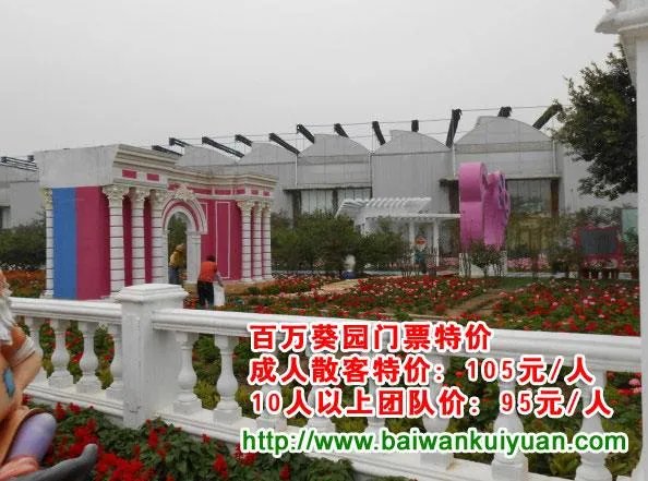 百万葵园什么时候去最好？