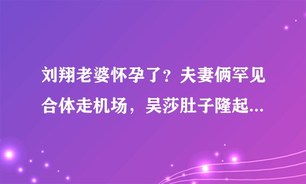 刘翔老婆怀孕了?夫妻俩罕见合体走机场,吴莎肚子隆起疑似怀孕