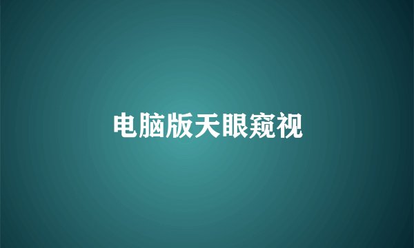 电脑版天眼窥视