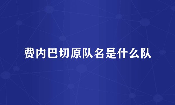 费内巴切原队名是什么队