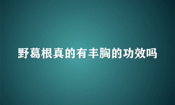 野葛根真的有丰胸的功效吗