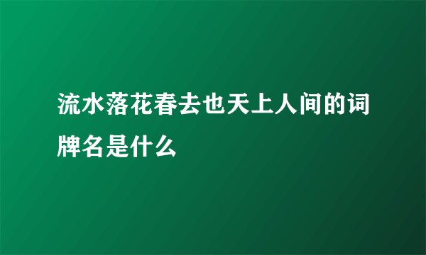流水落花春去也天上人间的词牌名是什么
