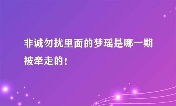 非诚勿扰里面的梦瑶是哪一期被牵走的！
