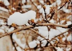 上联：春意盎然，夏至未至，如何对下联？