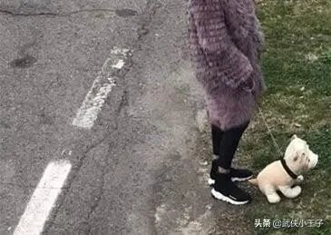 意大利又一市长狂怼市民疫情期遛狗行为,你支持还是反对?