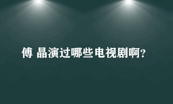 傅 晶演过哪些电视剧啊？
