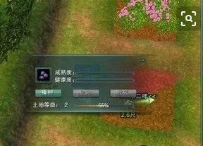剑三花朝节攻略