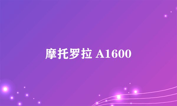摩托罗拉 A1600