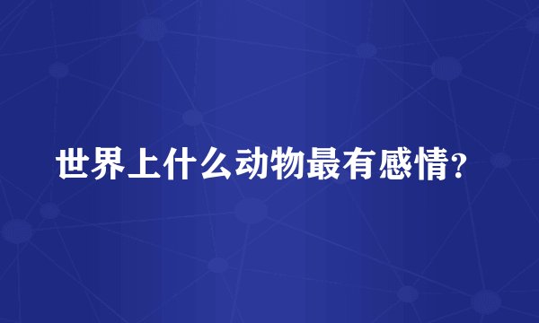世界上什么动物最有感情？
