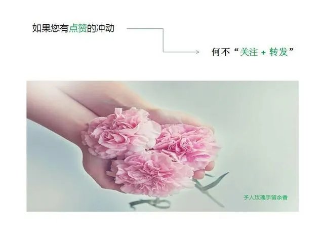 有问题找百度,那么百度的答案是哪来的?