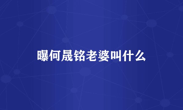 曝何晟铭老婆叫什么