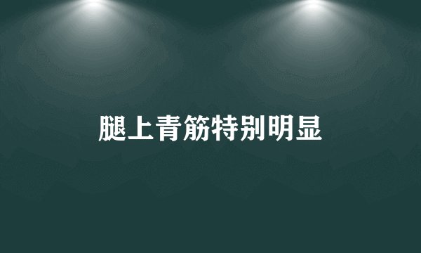 腿上青筋特别明显