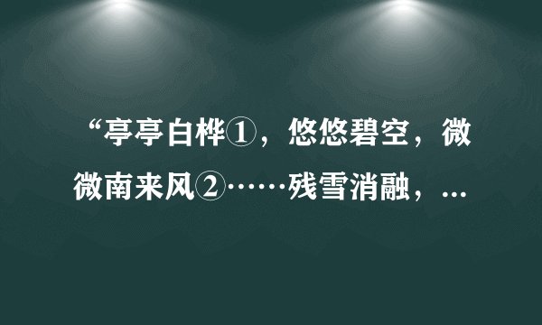 “亭亭白桦①，悠悠碧空，微微南来风②……残雪消融，溪流淙淙③……朝雾蒙蒙④，水车小屋静③……”日本民歌《北国之春》的歌词艺术化地展示了日本地理环境的特点。回答11-12题。日本的“北国”包含了（　　）A.九州岛