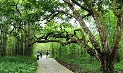 增城旅游景点大全排名