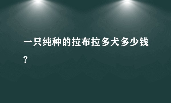 一只纯种的拉布拉多犬多少钱？