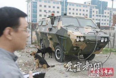 杨树宽的判决