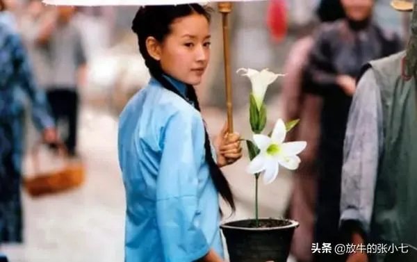 董洁演的所有电视剧？