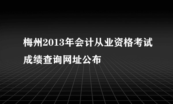 梅州2013年会计从业资格考试成绩查询网址公布