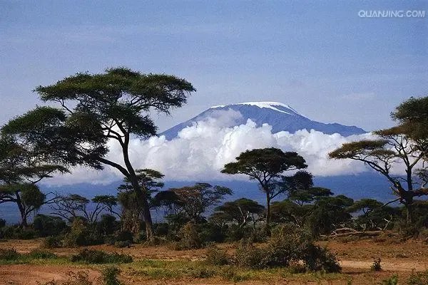 “非洲之巅”乞力马扎罗山发生火灾！目前当地状况如何了？