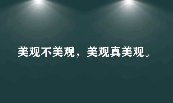 美观不美观，美观真美观。