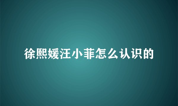 徐熙媛汪小菲怎么认识的