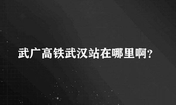 武广高铁武汉站在哪里啊?